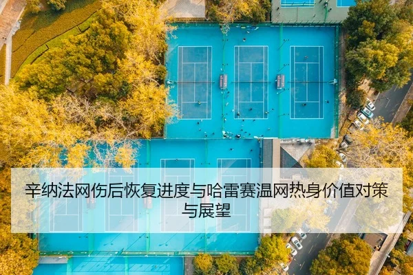 xin-na-fa-wang-shang-hou-hui-fu-jin-du-yu-ha-lei-sai-wen-wang-re-shen-jia-zhi-dui-ce-yu-zhan-wang-2-537.jpg