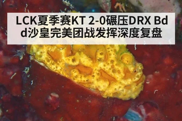 LCK夏季赛KT 2-0碾压DRX Bdd沙皇完美团战发挥深度复盘